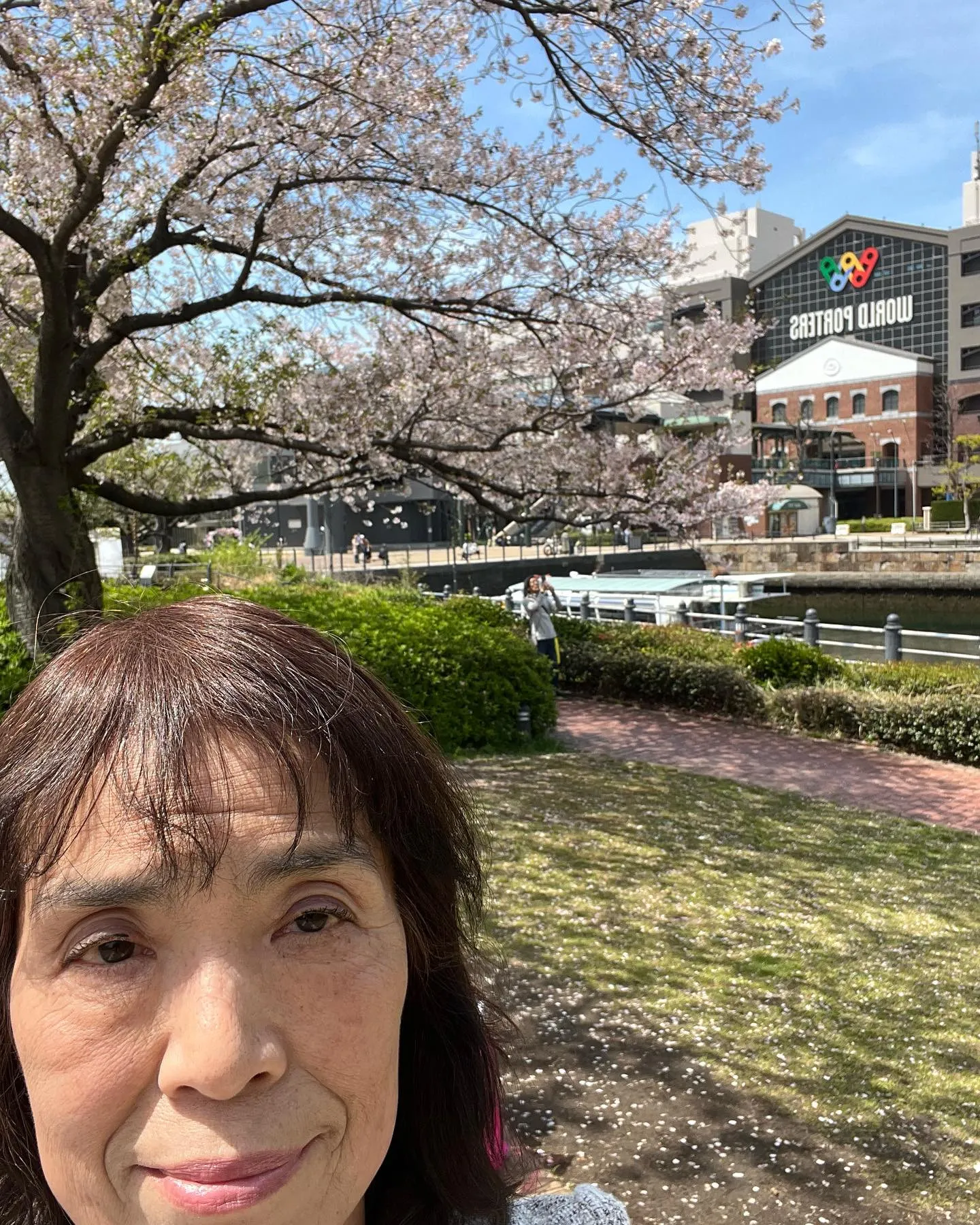 横浜ワールドポーターズと満開の桜